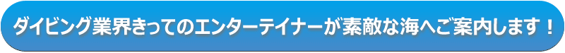 完全貸切ボートで行く青の洞窟