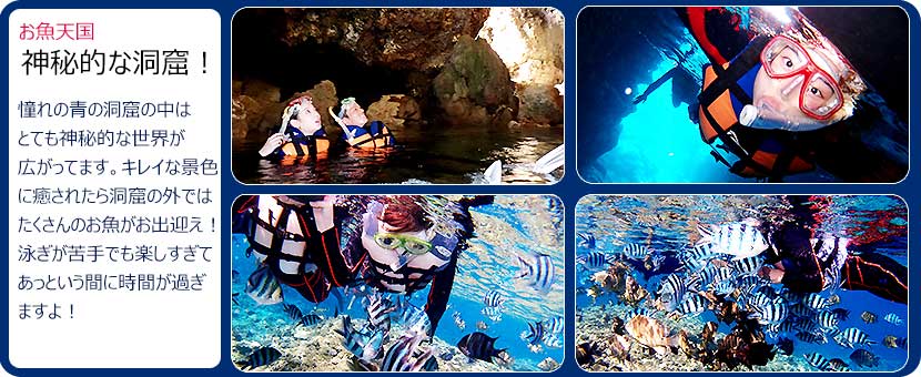 嬉しい水中時間50分の青の洞窟シュノーケリング。お魚の餌づけもサービス。