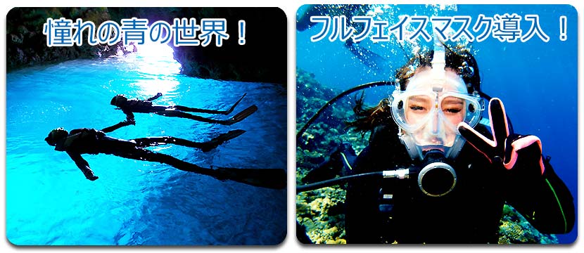 専用ボートだから出来るたっぷりの水中時間40分