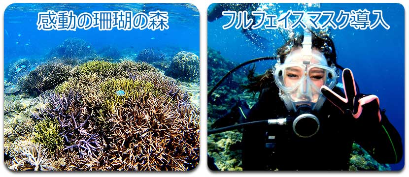 専用ボートだから出来るたっぷりの水中時間40分