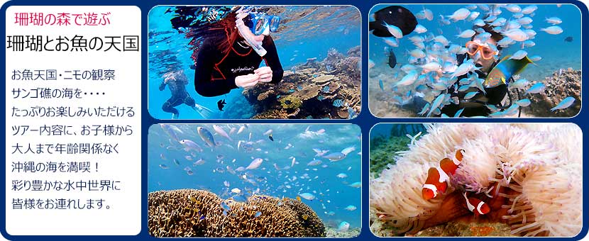 たっぷりの体験ダイビング水中時間40分。お魚の餌づけ、キレイな珊瑚礁など沖縄の海中世界は他とは別次元。