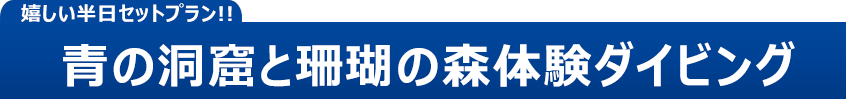 嬉しい半日セットプラン！青の洞＆珊瑚の森半日満喫コース