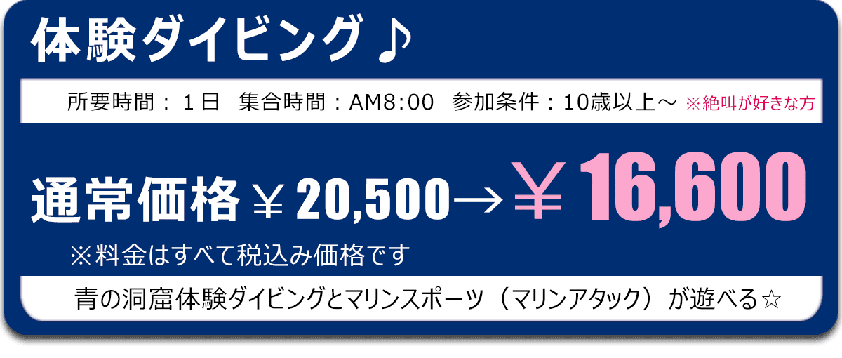 沖縄青の洞窟体験ダイビングセットの料金